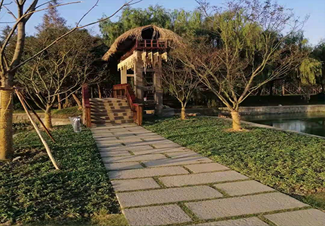 蘇州市吳江區(qū)汾湖水系治理項目